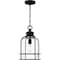 Quoizel Bowles Outdoor Hanging 1 Light Earth Black BWE1910EK - alternate 1